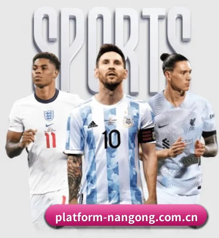 五大体育板块覆盖,从比分到直播全覆盖 - 多运动项目内容板块